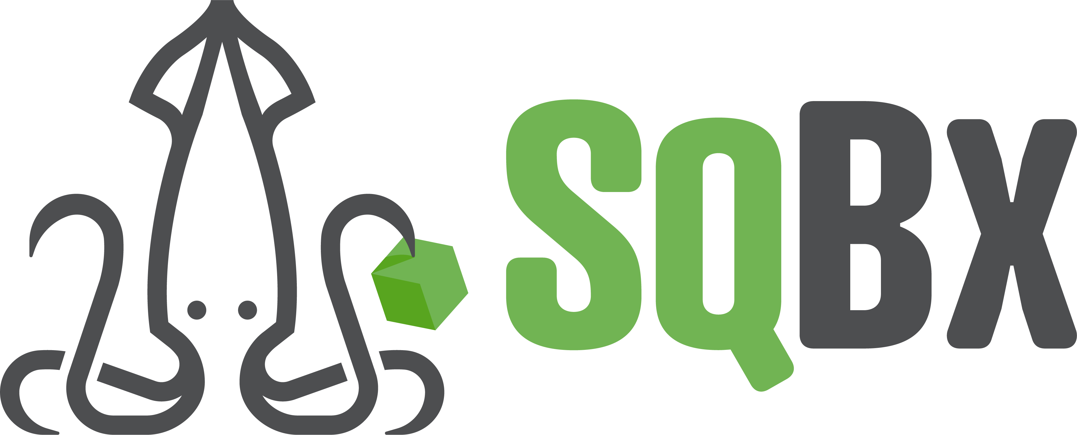 Squid Logo